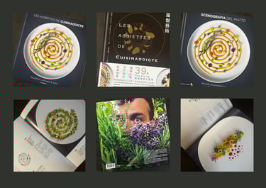 Livre cuisine Alexis Vergnory Les assiettes de cuisinaddicte techniques dressage pédagogie Ajaccio