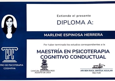 a certificate for a professional professional business