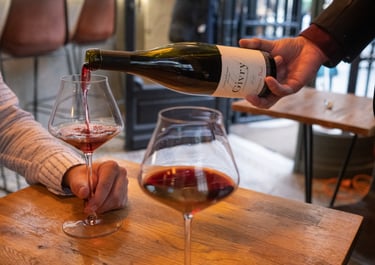 Paris Wine tasting experience