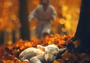 1. Embrace the Beauty of Creation
