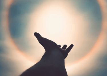 Dreams, Déjà Vu, and Coincidences: Is God Trying to Tell You Something?