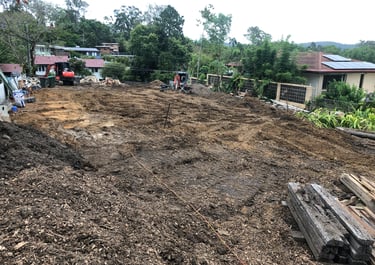 All Concrete including driveway removed.