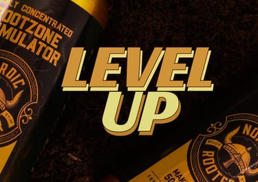Level up with Nordic Rooter.