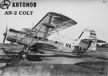 Dessin réaliste en noir et blanc de l'avion AN-2 Colt