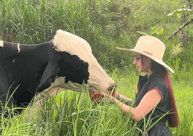 planes en pereira precios