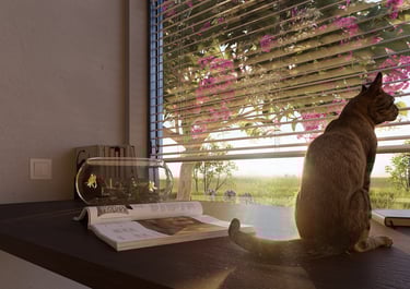 noon arq rendes contacto