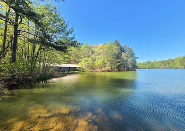 Huntsville, AL - View of the lake & covered bridge at Madison Co. Nature Trail