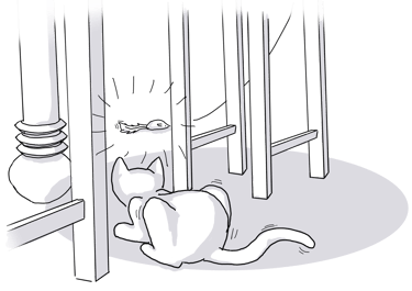 a cat under a table looking at a toy