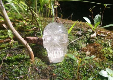 crâne cristal quartz