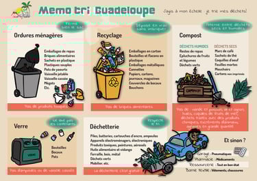 Création graphique pour Clean My Island - Mémo tri Guadeloupe - informations recyclage