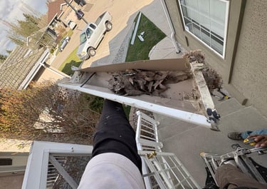 Clogged gutter filled with leaves before cleaning.