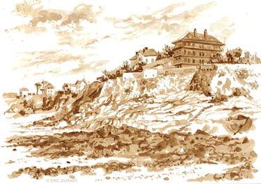 Lavis de brou de noix  sur papier A4 - © Eric Durant