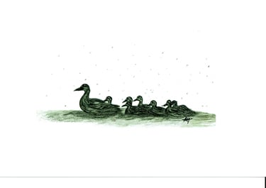 canards 6''X9''