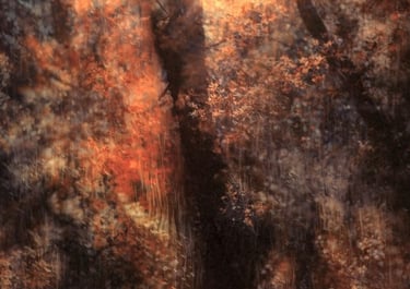 Abstract impression of trees in warm autumn tones, ethereal landscape photography by Martin Osner.