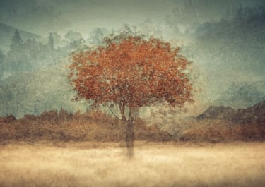 Single tree with orange leaves in misty hills, ethereal landscape photography artwork.