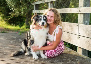Photographe Animaux Lens Arras Douai Lille