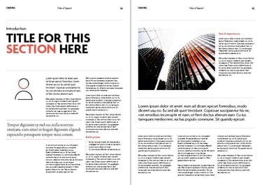 a report spread section