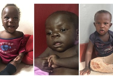 3 Bilder von Neuzugängen im Baby Home