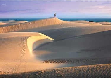 dessert of socotra