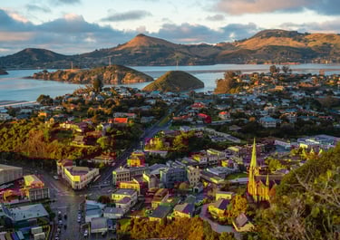 Personal Trainer Dunedin NZ