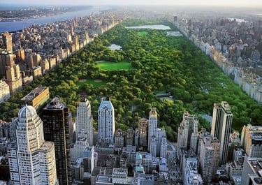 Personal Trainer New York City NY