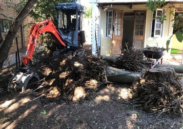 Side access roughed out, boulders reused, and palm roots removed