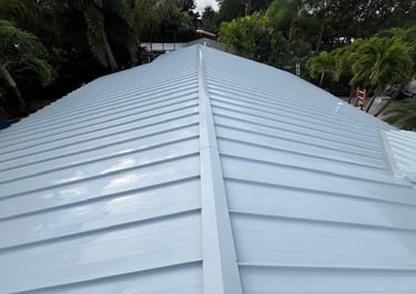 metal roof soft washing fort lauderdale fl 