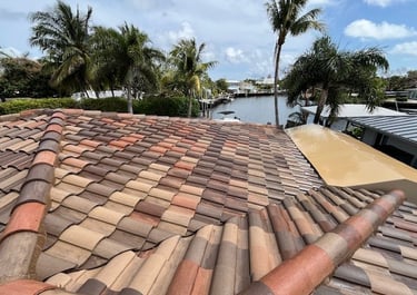 tile roof soft washing services Fort Lauderdale fl 