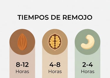 Gráfico minimalista con iconos de almendras, nueces y anacardos mostrando sus horas de remojo