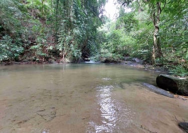 ton prai waterfall wading pool khao lak