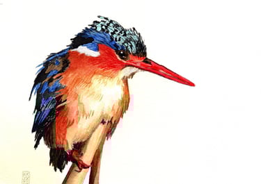 24-03 King Fisher