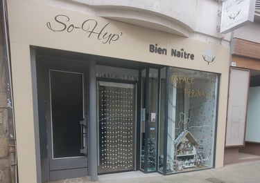 11 rue martin bernard, 42600 MONTBRISON