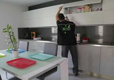 désinsectisation blattes et cafards a Nice