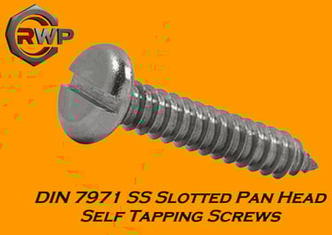 DIN 7971 Slotted Pan Head Tapping Screw