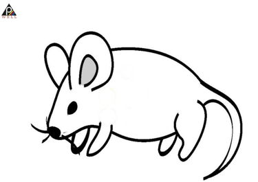 KIDS COLORING FREE RAT