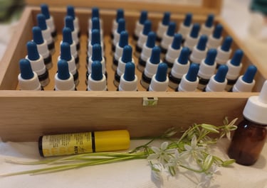 fleurs de bach Laura COTTING