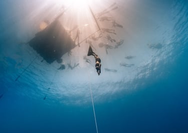professional freediver descent underwater competition photo by Laura Mommicchi