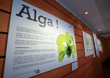 Alga! exhibition