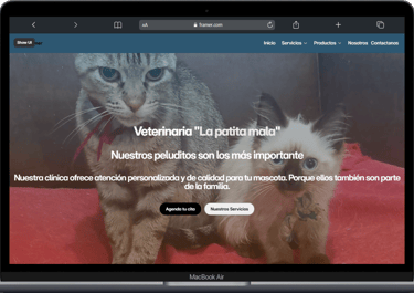 Sitio web desarrollo No-Code con Framer