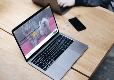 Sitio web desarrollo No-Code con Framer