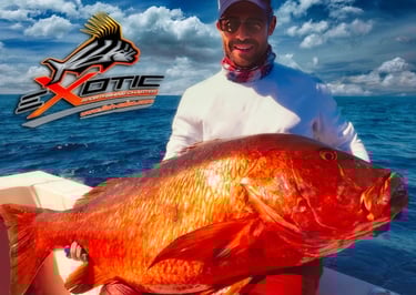 Expert fisherman landing trophy-sized red snapper near San Jose del Cabo
