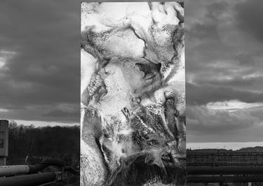 Refik Anadol,Sebastiano Barbieri, vvvv