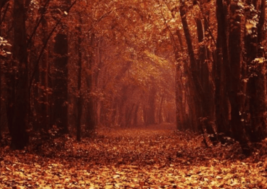 2. Reflect on Change and Renewal