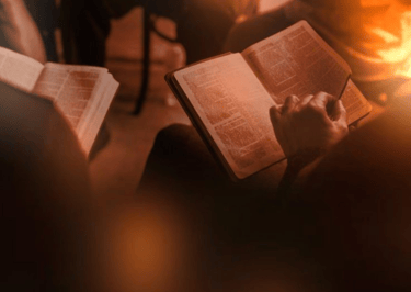 The New Testament Perspective