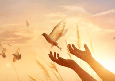 What happens when we pray but don't receive an answer?
