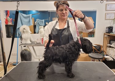 Viky arrive au salon