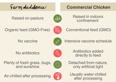 difference between organic chicken and commercial chicken