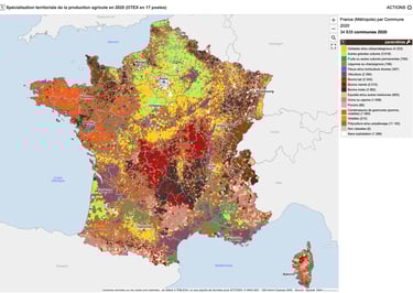 PESTICIDES AGRICULTURE CARTES INFOGRAPHIES