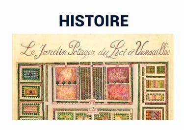 PESTICIDES AGRICULTURE HISTOIRE