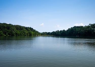 um rio com uma floresta ao fundo